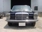 250(W114)