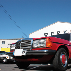 280TE -W123- |WERKE Co.,Ltd.